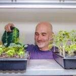 Man watering indoors seedlings under LED