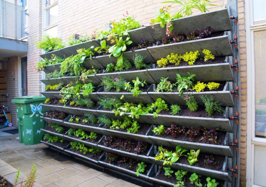 The Benefits of Vertical Gardening: Making the Most of Limited Space