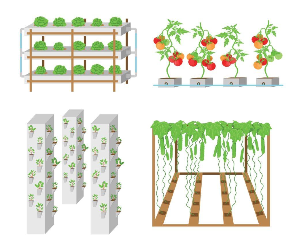 Vertikales Gärtnern - Hydroponische Gemüseanbausysteme