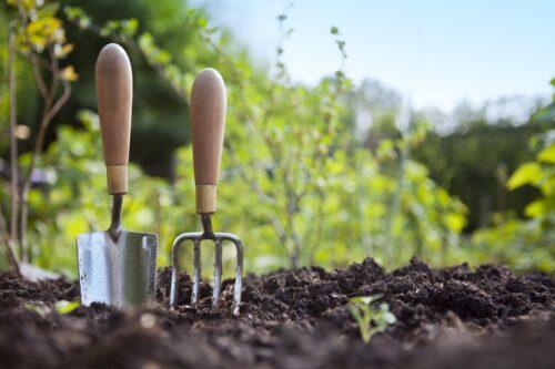 Best Gardening Hand Trowel and Fork Standing in Garden Soil