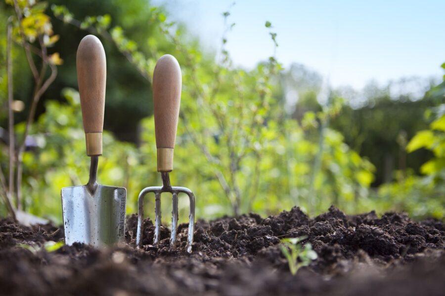 7 Gardening Hand Tools: Essential Equipment for Every Gardener