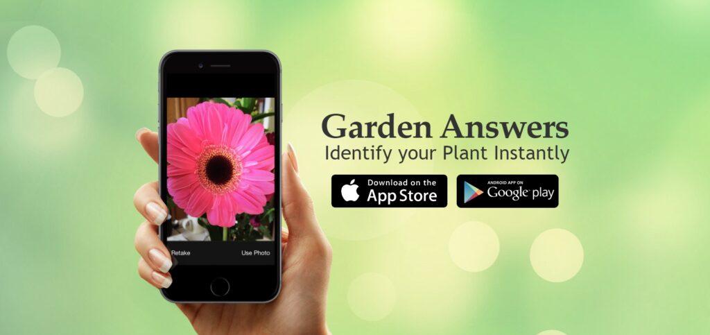 Garden Answers kostenlose iOS & Android Gartenarbeit & Pflanzen-App
