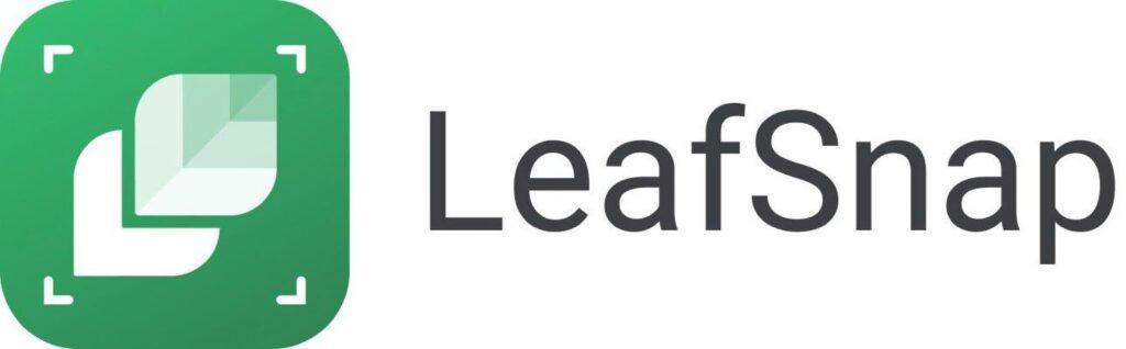 LeafSnap kostenlose iOS & Android Gartenarbeit & Pflanzen-App